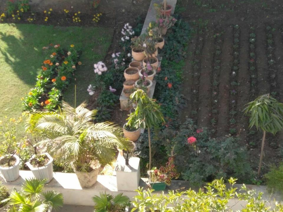 Heritage Homestay Jammu Exterior foto